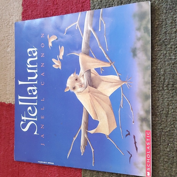 Scholastic Other - Bat book